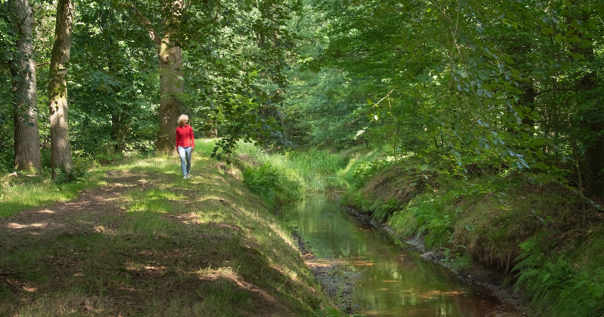 Landgoed Het Oosterveld open voor publiek