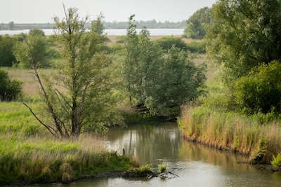 Voortgang natuurproject Oostvaardersoevers: inloopavond in het provinciehuis in Lelystad