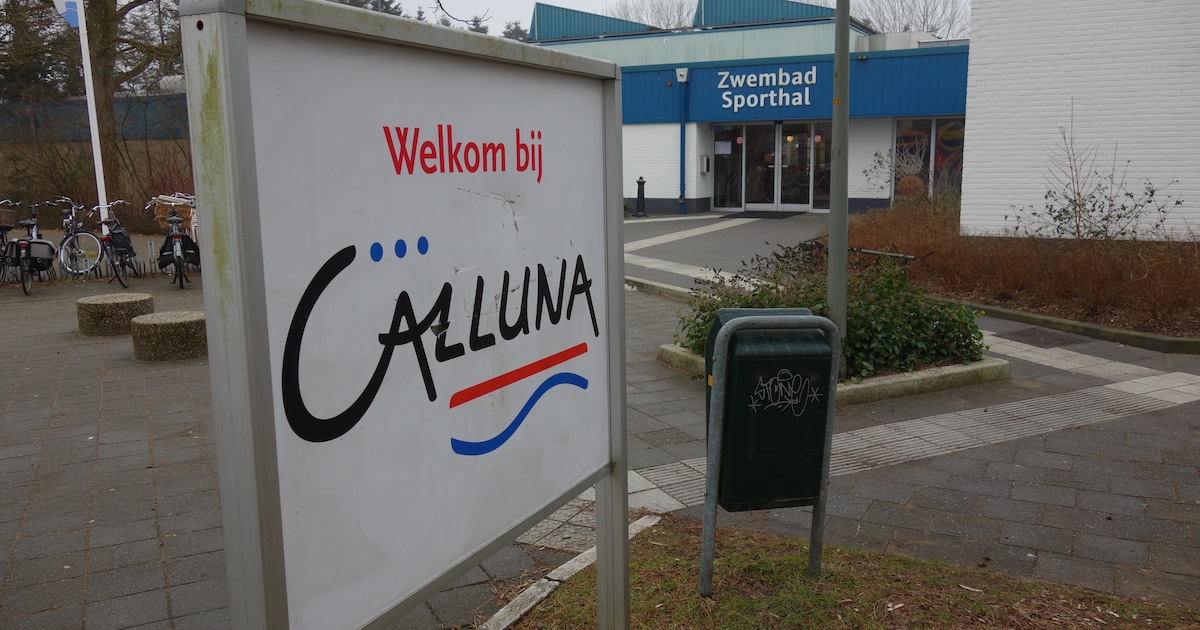 Ermelo bouwt nieuw, kleiner, zwembad Calluna | Regio | De Stentor.nl