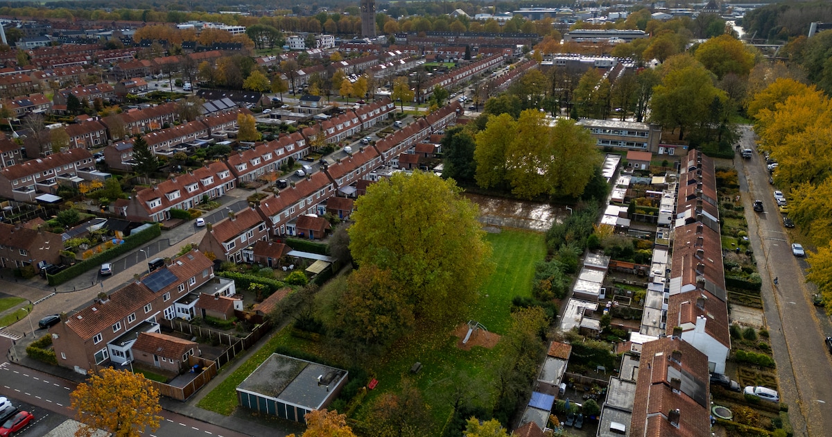 Buurt verliest strijd om speelveld in Emmeloord: hoogste rechter geeft voorrang aan woningbouw