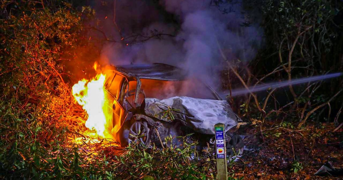 Twee doden bij eenzijdig ongeluk bij Elspeet