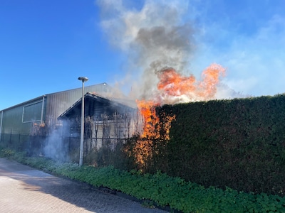 Coniferen en schuren in brand in Vorden