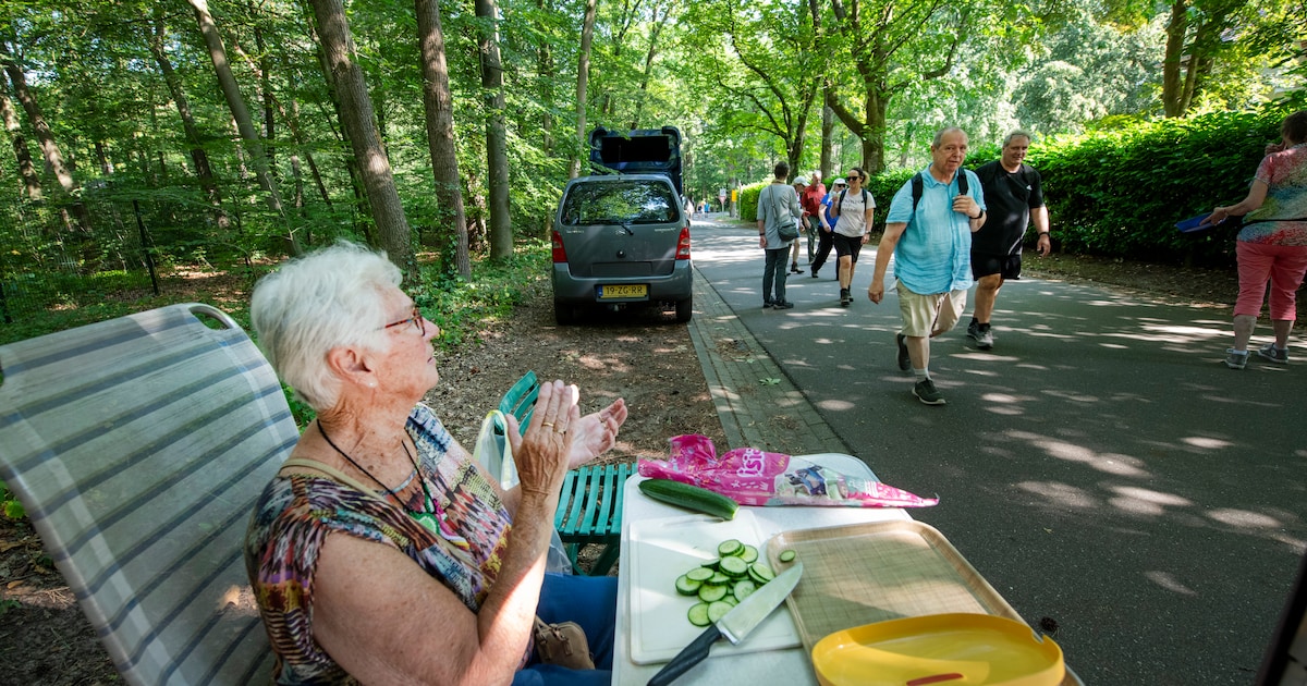 Deze zussen delen al jarenlang komkommers uit tijdens 4Daagse in Apeldoorn