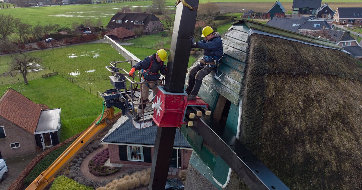 Zalker molen heeft na een week alweer nieuwe wieken | Regio | De Stentor.nl