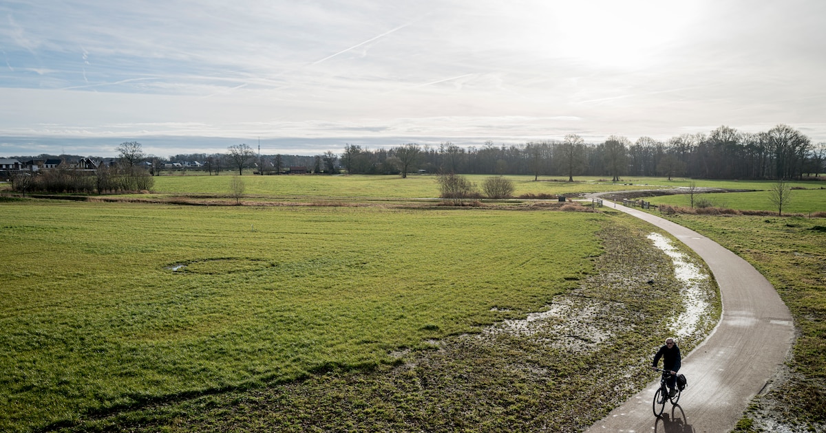Verkocht is verkocht: rechter kan boerenfamilie uit Borne niet helpen