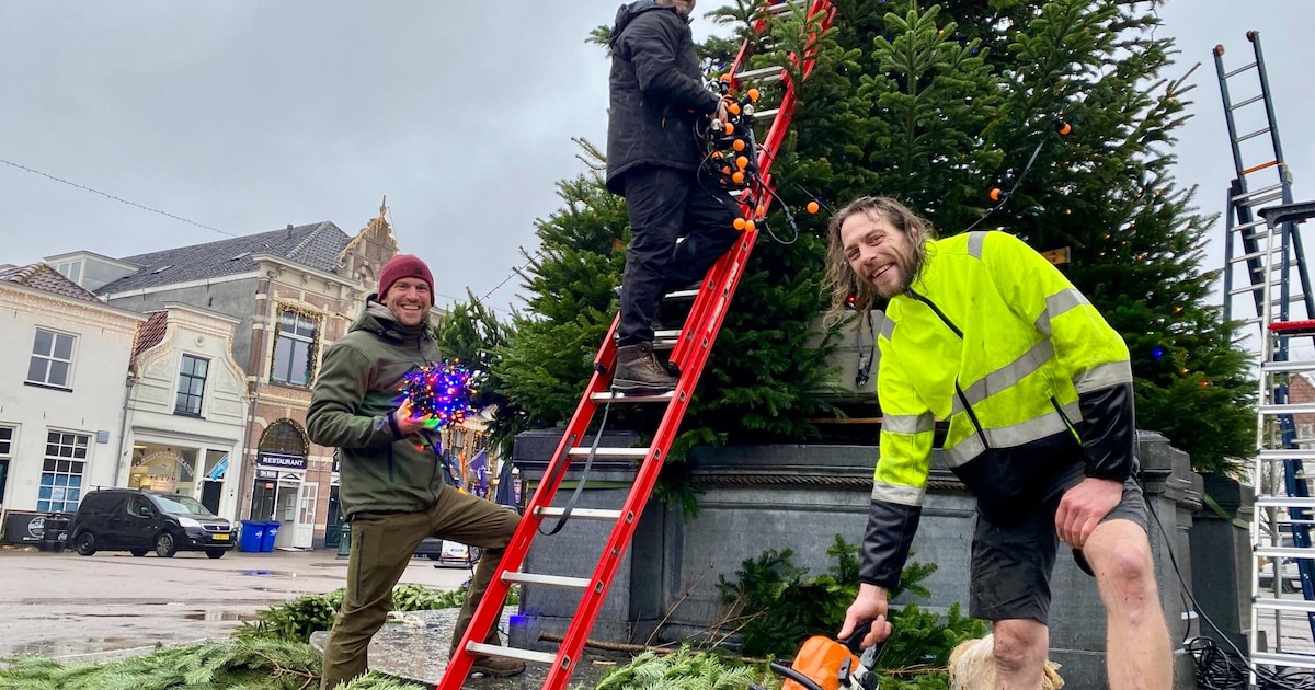 Kerstboom kopen in Amersfoort: hier kan het