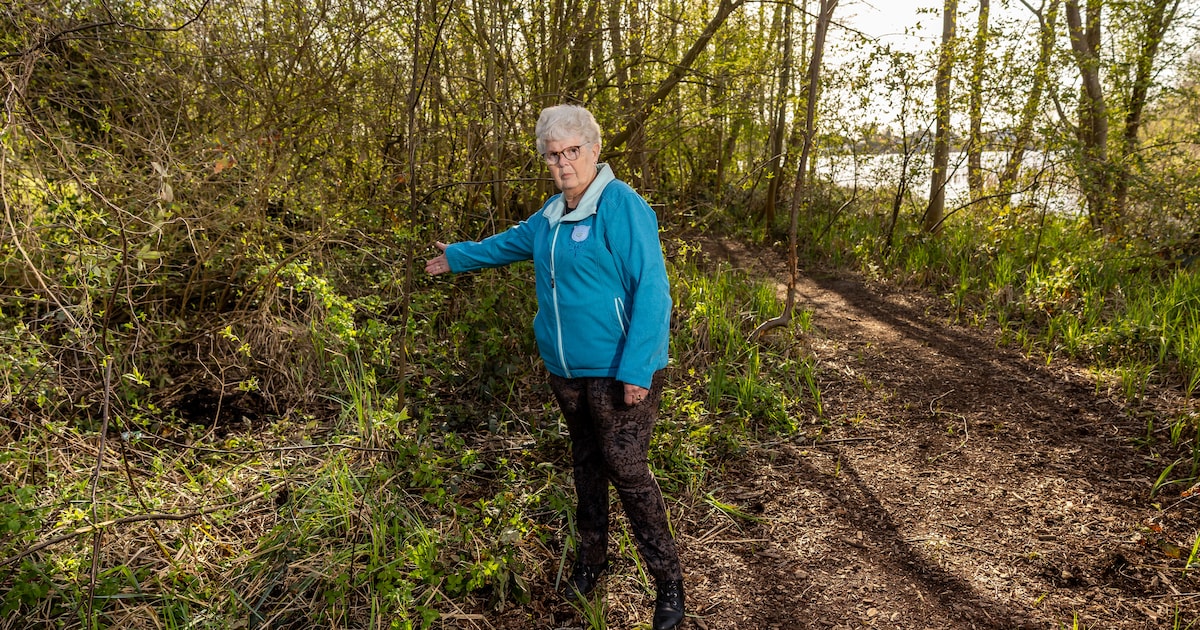 Gemeente gaat met bordjes waarschuwen voor moeras, nadat vrouw (70) wegzakte