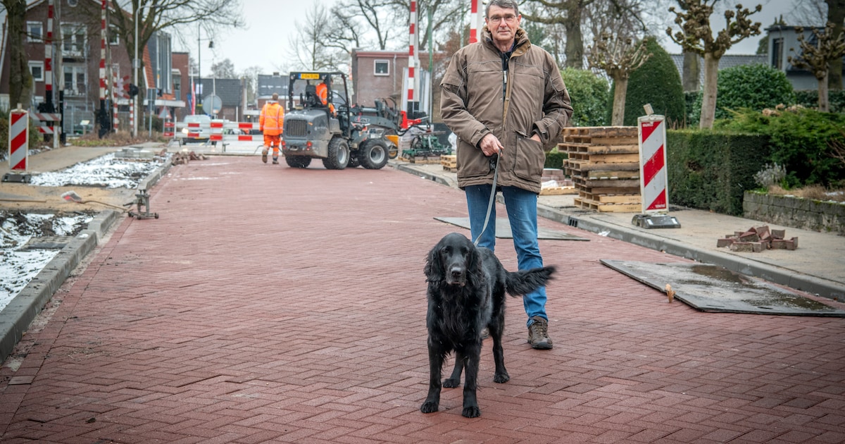 Waarom rochelen de honden in Eerbeek zo? Dorpsbewoners vrezen staalslakken onder de weg