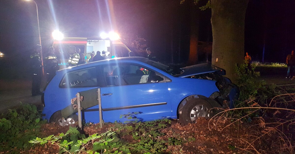 Gewonde bij botsing met boom in Dalmsholte