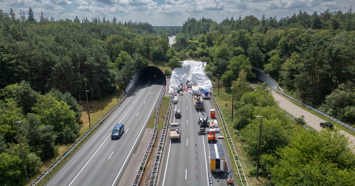 A50 tussen Apeldoorn en Arnhem vier weekenden dicht: dit is waarom