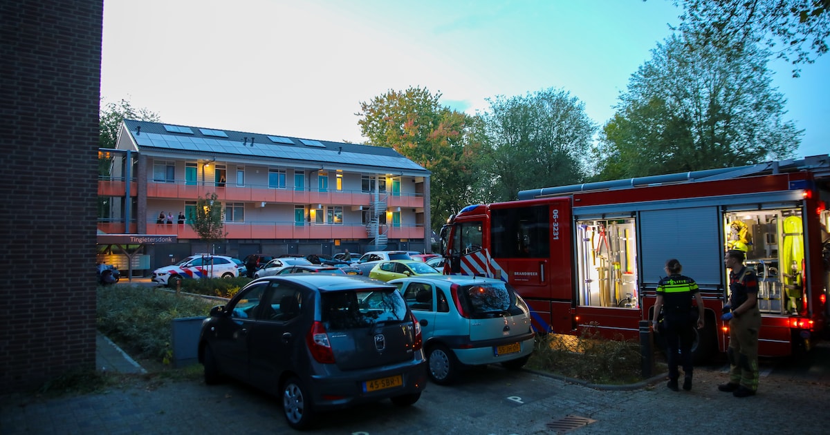 Vrouw ademt rook in bij keukenbrand in Apeldoorn en moet naar ziekenhuis