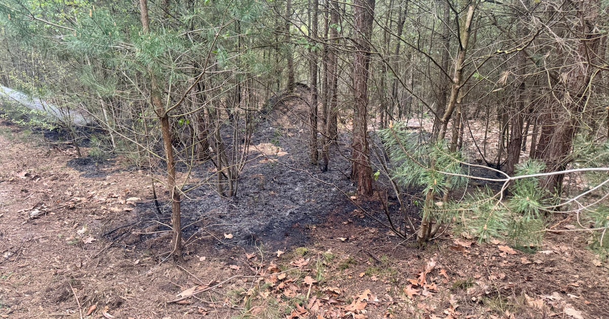 Brand in bosgebied bij 't Frusselt in Vierhouten snel geblust