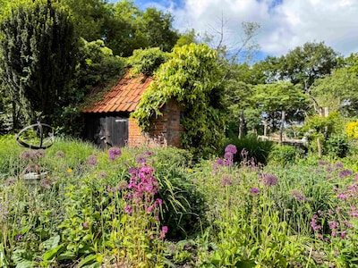 Bij levende Tuinenroute in Steenwijkerland zetten twintig tuinen de poorten open