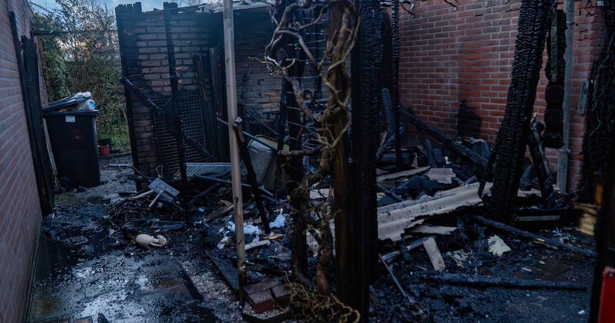 Plots schieten er vlammen boven de schuttingen uit: tuinhuis in Twello volledig afgebrand