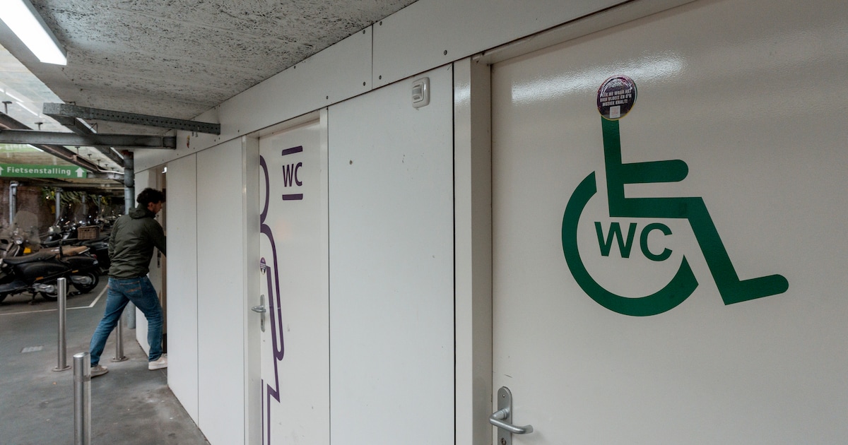 Meppel plaatst openbare toiletten tegen wildplassen