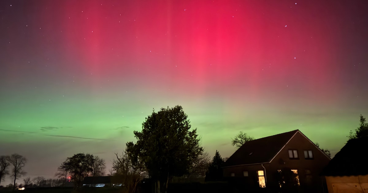 Dit stuurden jullie in: Dyon geniet van Noorderlicht • SDG Ommen zet trouwe muzikanten in het zonnet