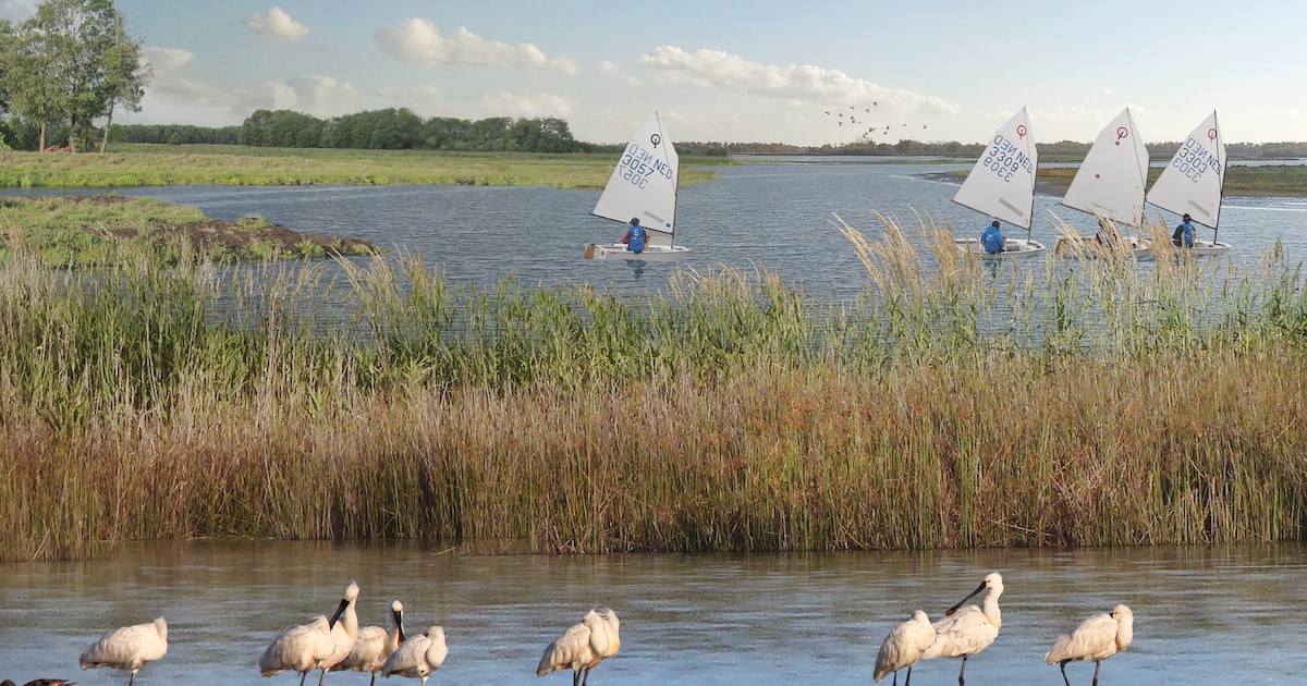 Nationaal Park Nieuw Land komt met verhalenreeks