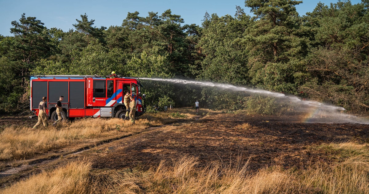 Brand op heide aan 't Frusselt in Vierhouten