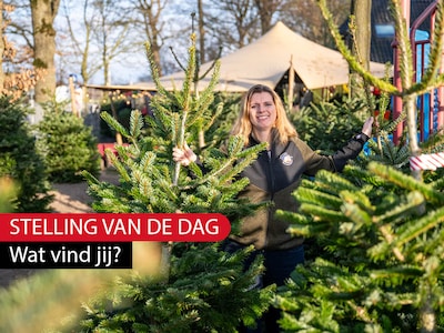 Stelling | Ik koop een echte kerstboom, ook al moet ik daar steeds meer voor betalen