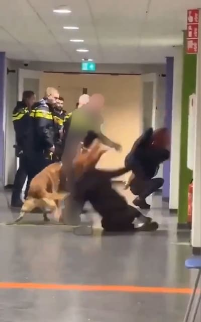 Vrouw die in azc op de grond werd gegooid door agent laat van zich horen: ‘Ik wilde gewoon een vraag stellen’