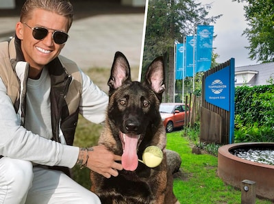 Ede in de ban van vermiste hond van Mart Hoogkamer: zoektocht met helikopter en speurhonden