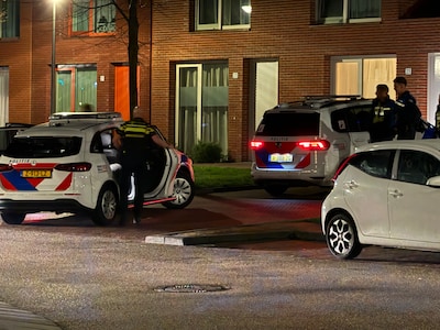 Man wil boa’s slaan in Zwolle en wordt vervolgens zelf in de boeien geslagen