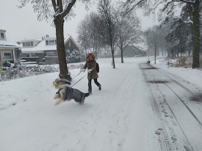 Zo stapt Harderwijk door de sneeuw