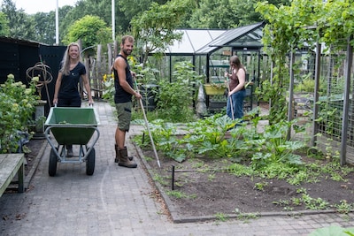 Boer Kees leverde bijna al zijn koeien in en heeft nu een zorgboerderij: ‘Je moet niks, maar je mag 