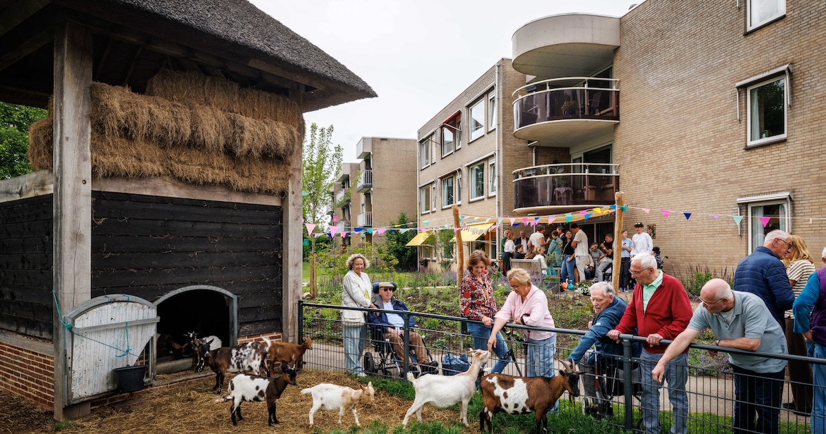 De Schanstuin van Zwartsluis is een groene ontmoetingsplek voor jong en oud: ‘De plantjes schieten n