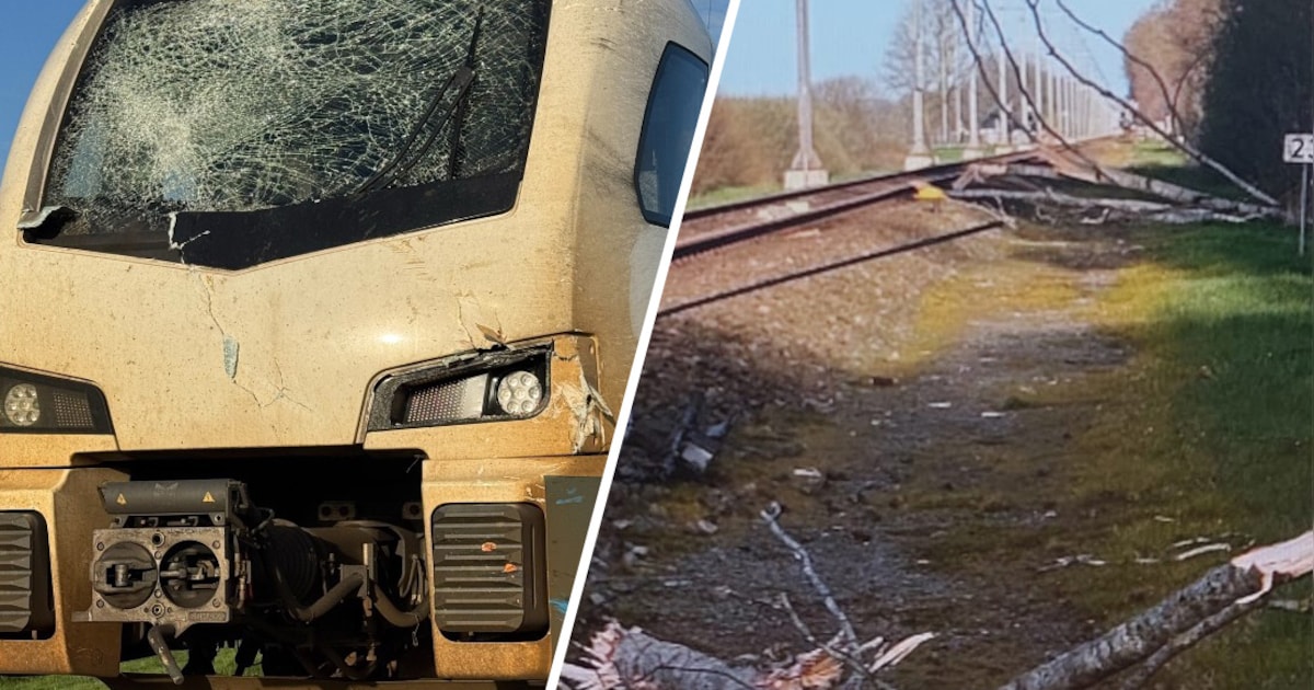 Treinongeluk bij Mariënheem: trein botst op boom die op het spoor ligt