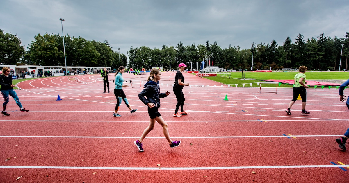 Beginnerscursus Nordic Walking start in Apeldoorn