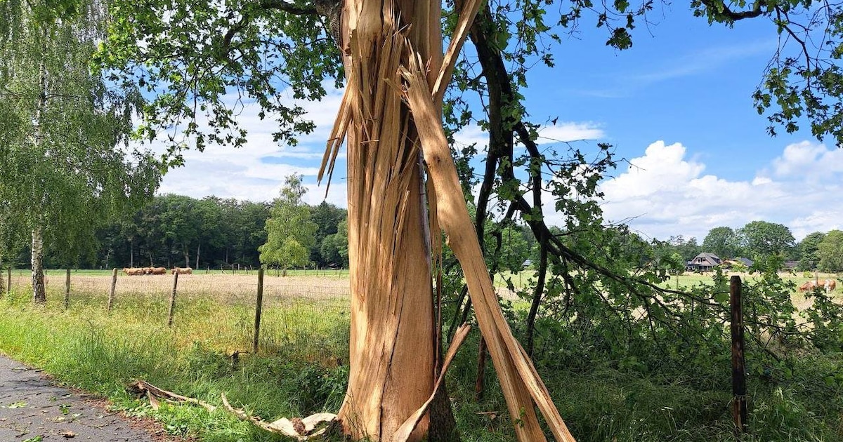 Natuurgeweld slaat toe: ‘Het noodweer trok over en ineens hoorde je een machtig harde klap’