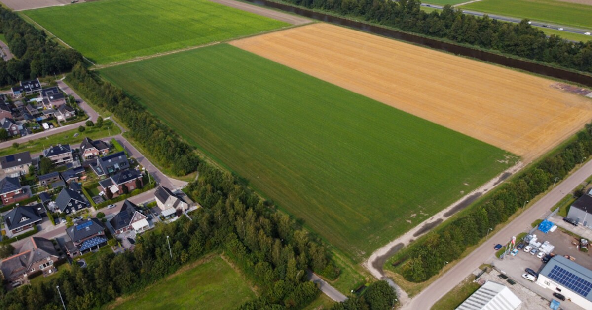 Inschrijving voor twaalf woningbouwkavels in plan Bant Oost geopend ...