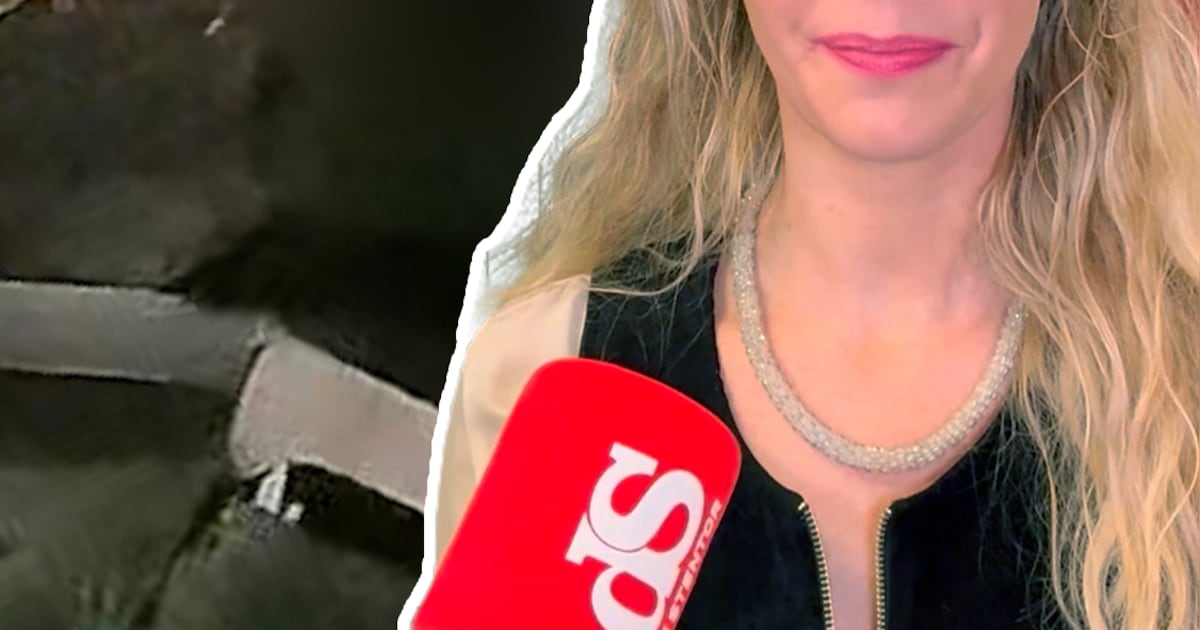 KIJK | ‘Biefstukboef’ slaat toe in Zwolle: zo kwam hij binnen