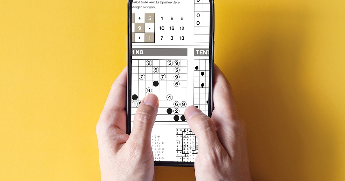 Van sudoku tot cryptogram: met deze puzzels kom je de zondag door ...