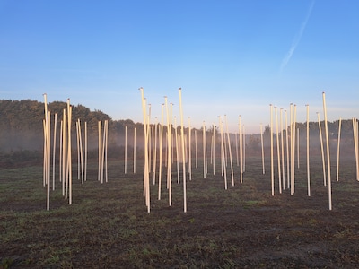 Jolle wil groot kunstwerk plaatsen, maar door ‘domme fout’ mislukt dat: ‘Ja, dit is wel balen’