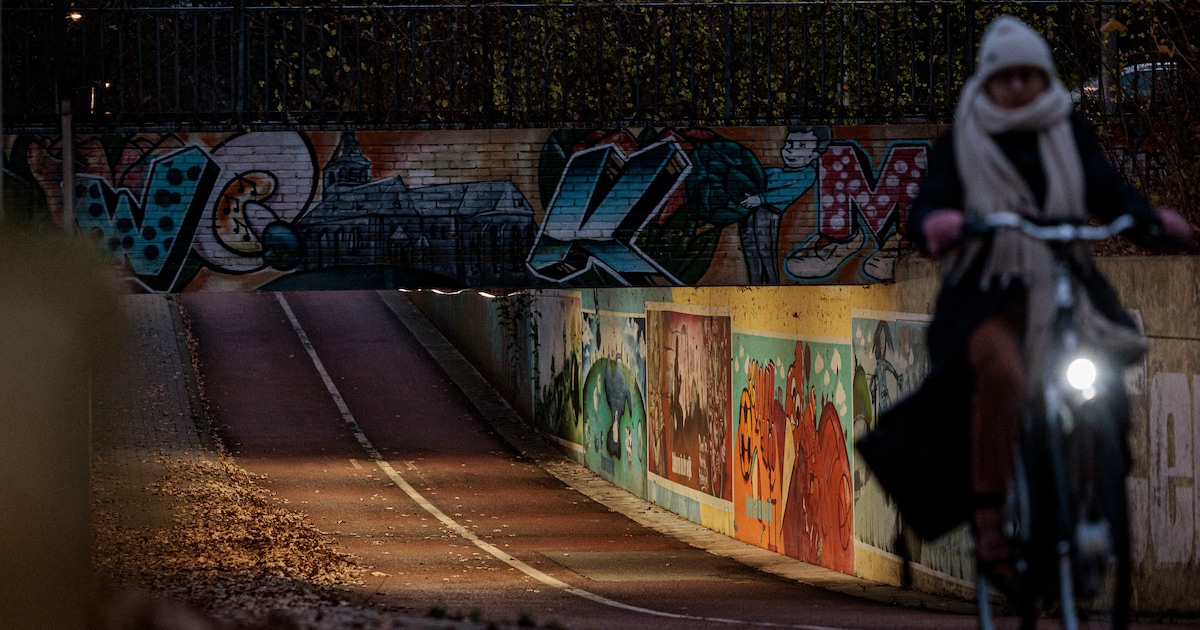 Is het onveilig bij tunneltje in Oldenzaal en kijkt de gemeente weg? ‘Waarom gebeurt er niks?’