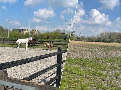 Gifspuiten binnen een straal van 50 meter van asielzoekerscentrum mag niet meer, maar is die afstand