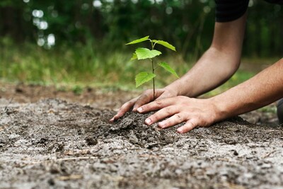 Bioloog Luc Hoogenstein vond 1500 soorten in zijn tuin en deelt zijn ontdekkingen in Lochem