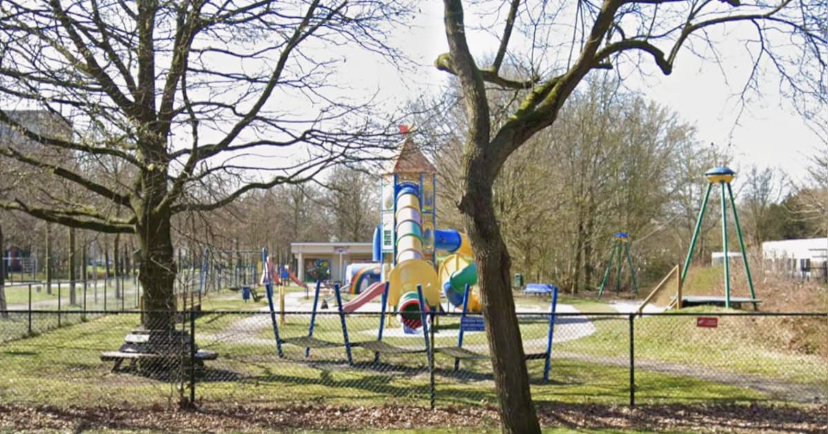 Vrouw krijgt op klaarlichte dag klappen in Zwolle, kinderen zien het gebeuren
