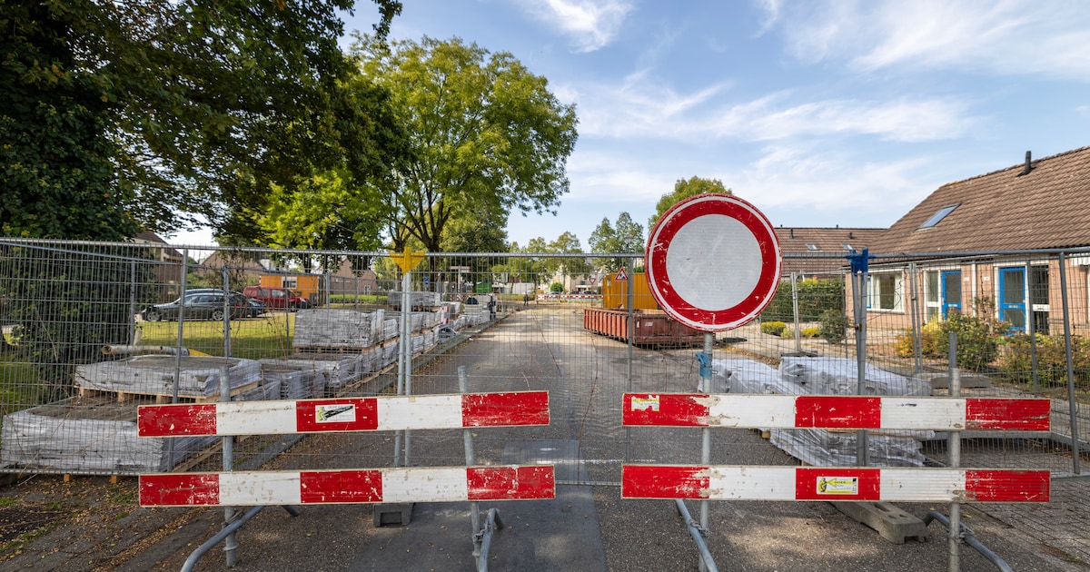 Help! Hoe kom ik bij het stembureau? (Borne waarschuwt alvast)