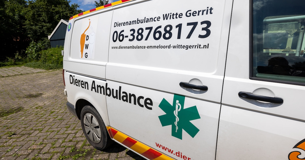 Voortaan niet twee, maar nog één dierenambulance in de Noordoostpolder
