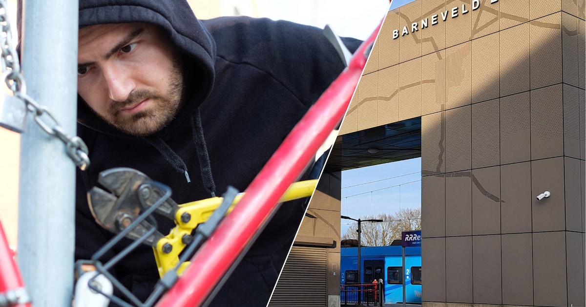 Fietsendief actief bij station Barnveld Centrum en Zuid