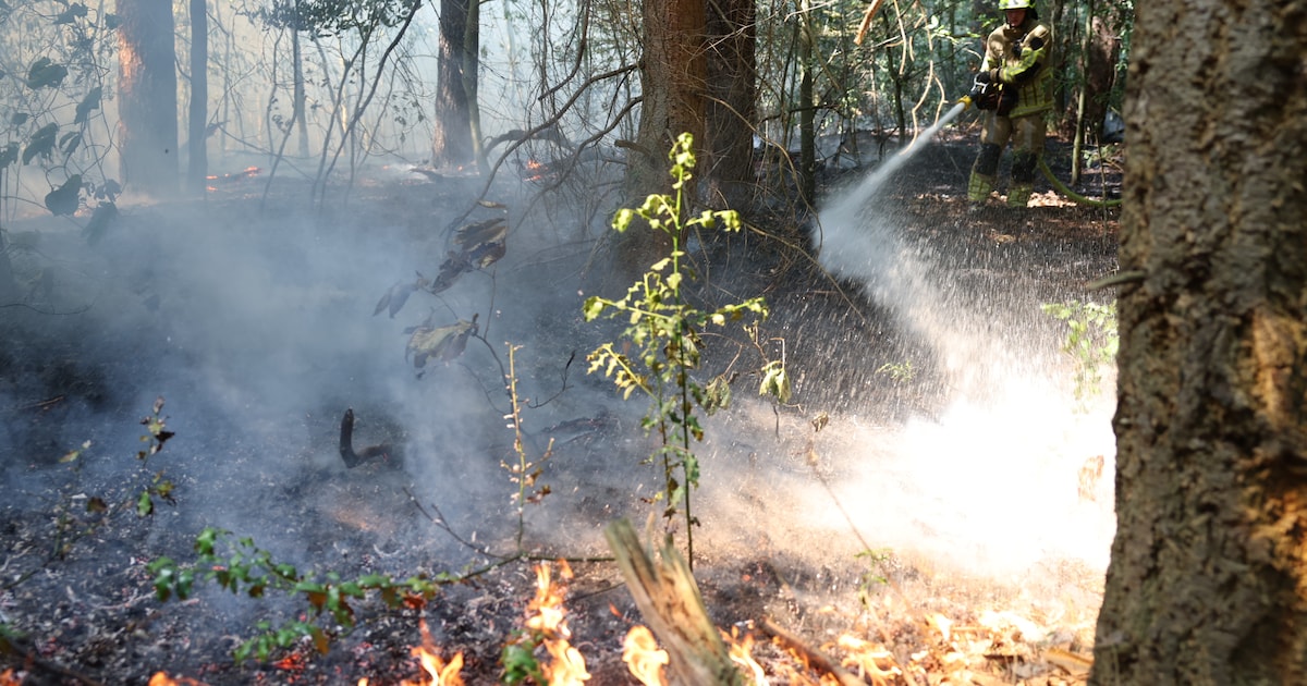 Blussen van bosbrand in Soesterduinen bemoeilijkt: ‘Er stonden zelfs mensen met een peuk in de hand’