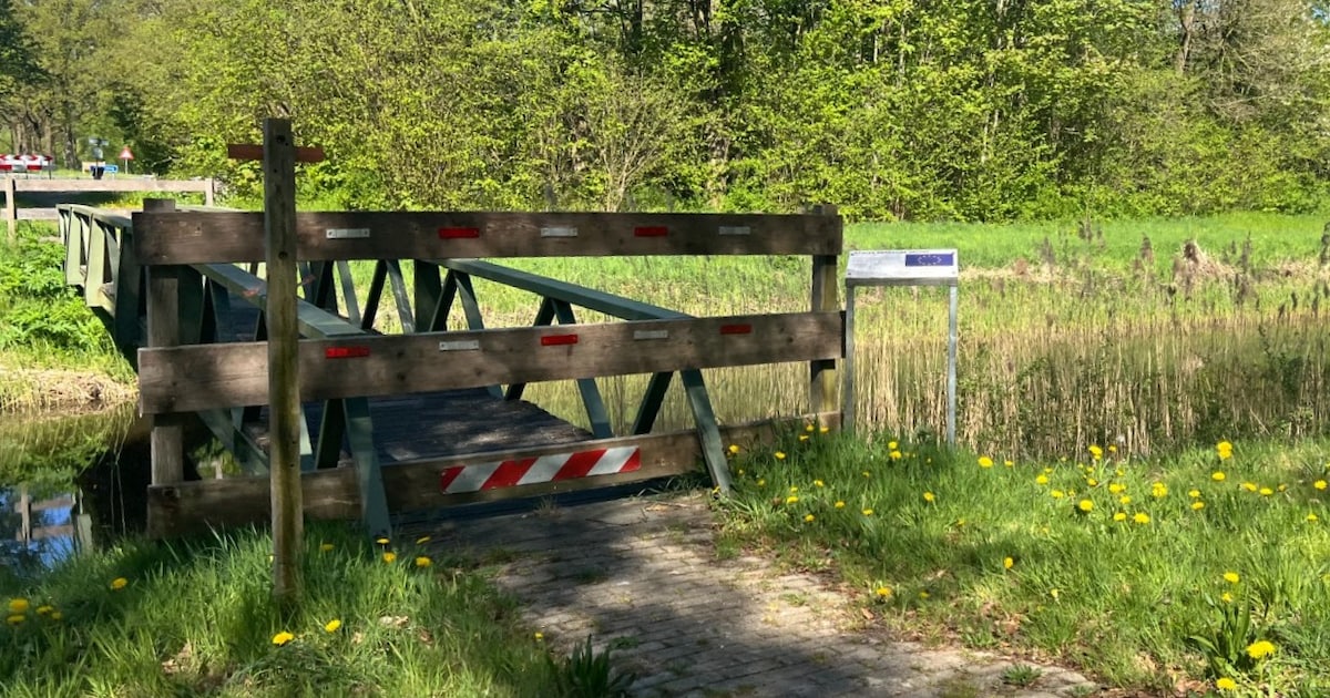 Fietsersbond luidt noodklok over ‘acuut probleem’ in Flevoland: ‘We moeten nu iets doen’