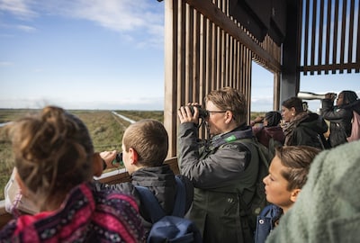 Wereldtrekvogeldag in Nationaal Park Nieuw Land met excursies en activiteiten