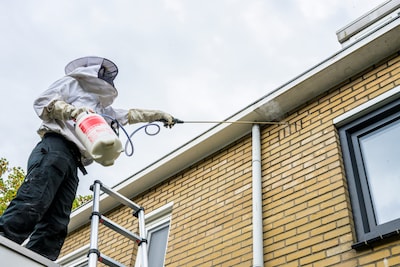 Twee seconden zoeken, een kwartier werk: op pad met Twentse wespenbestrijder Fernando (24)
