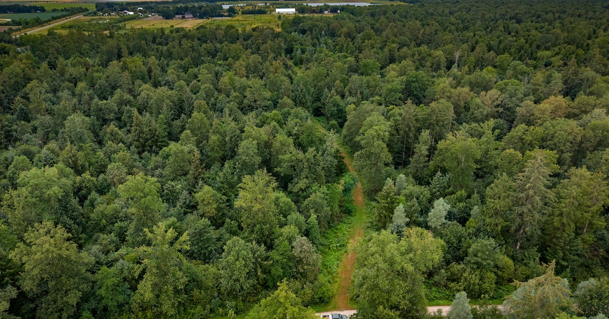 Boswachter vertelt in Emmeloord over bijzondere planten en dieren van het Kuinderbos