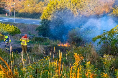 Voorbijgangers spotten bermbrand langs A50 in Apeldoorn