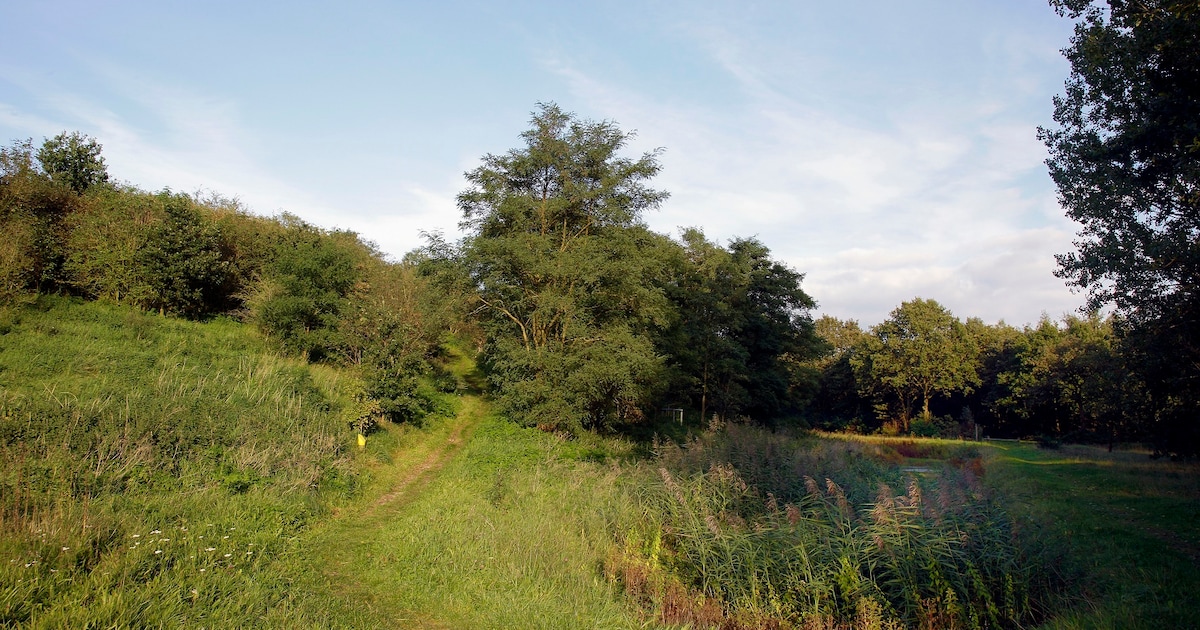 Zomerwandeling door natuurgebied Collendoorn